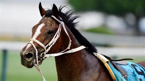 2022 Preakness Stakes odds, top betting strategy, cheat sheet: Expert.